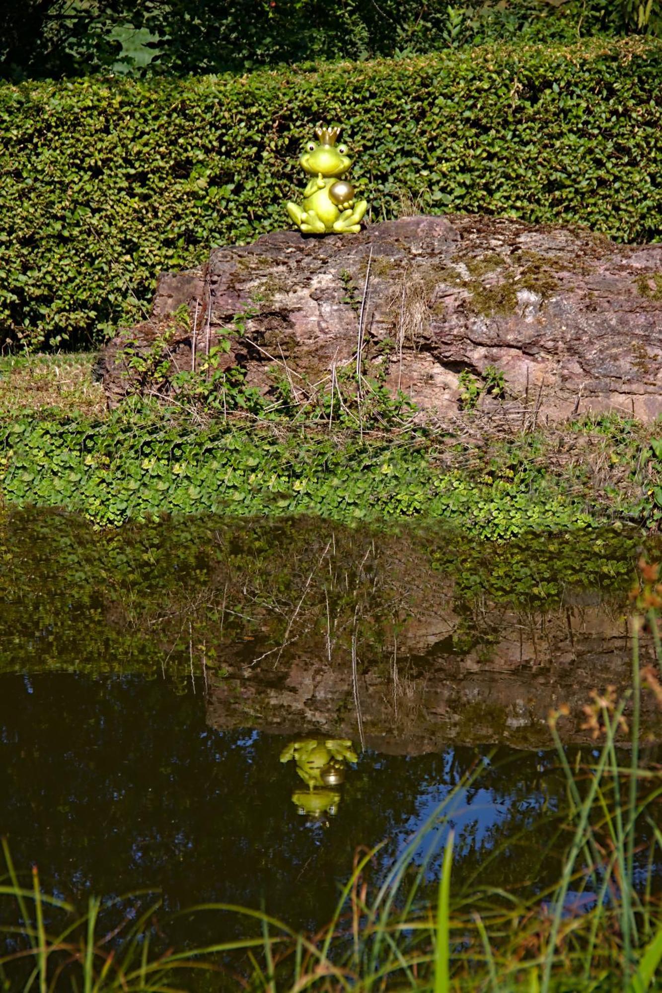 Appartamento Froschkoenig Mit Teichblick Trendelburg Esterno foto
