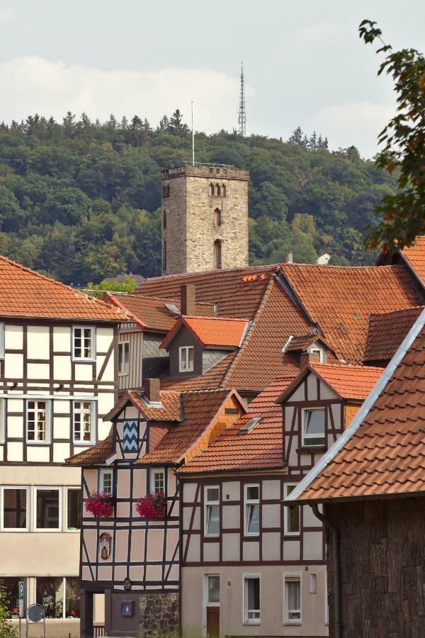 Appartamento Froschkoenig Mit Teichblick Trendelburg Esterno foto